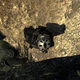 Image for article titled Modern Warfare 2 Deserves More Credit